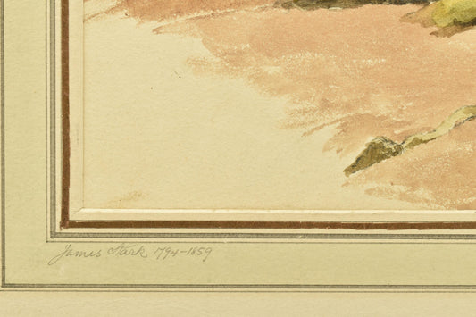 James Stark (1794-1859) – Tree Stump Study