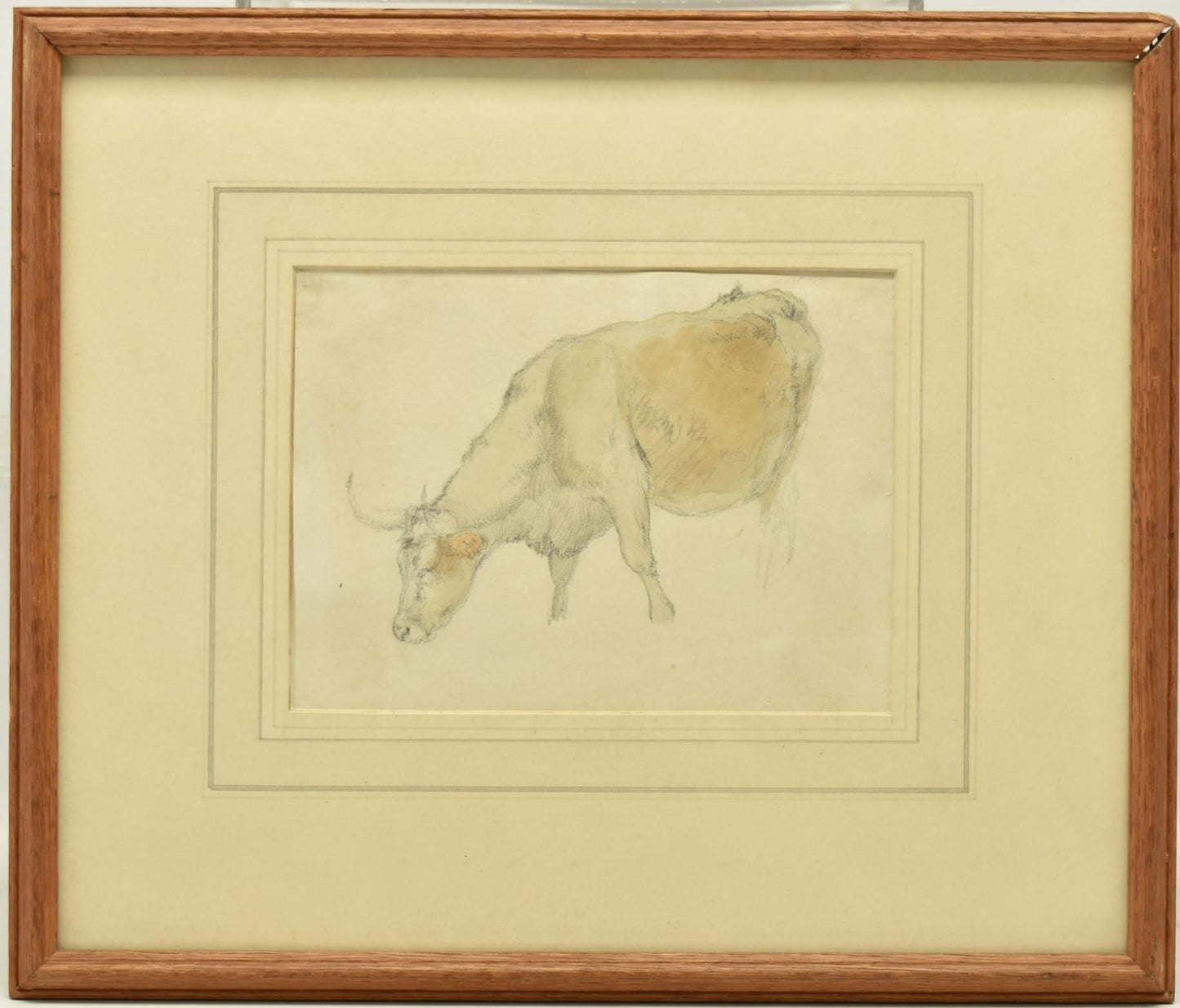 Robert Hills (1769-1844) – bullock grazing