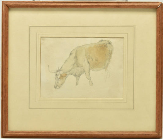 Robert Hills (1769-1844) – bullock grazing