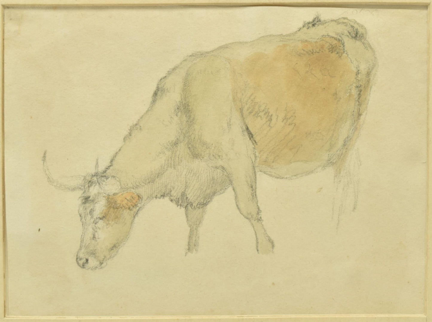 Robert Hills (1769-1844) – bullock grazing