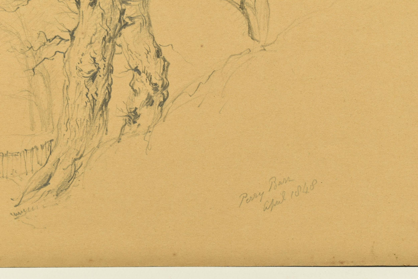 George Wallis sketch – study of a tree, Perry Barr, North Birmingham (1848)