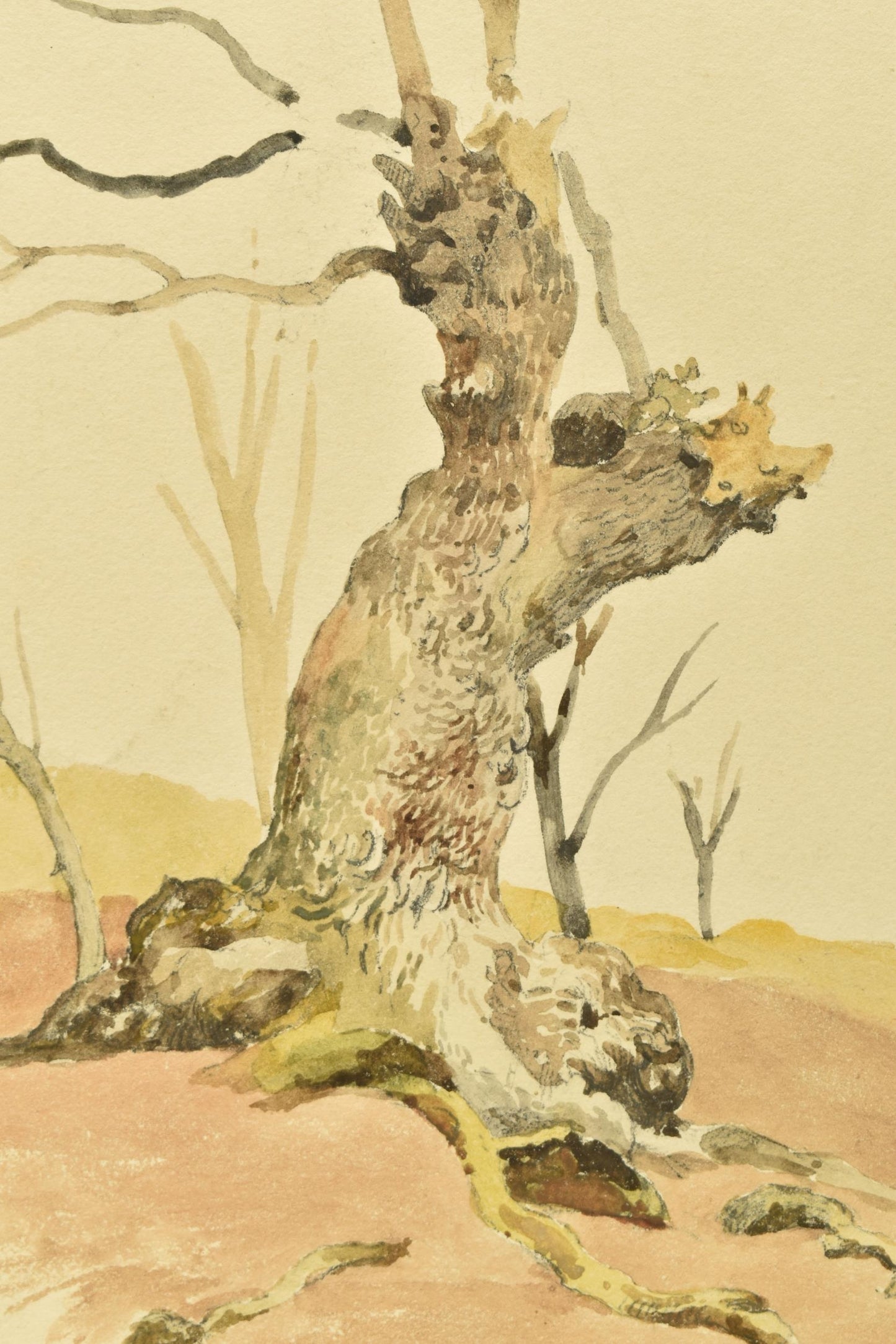 James Stark (1794-1859) – Tree Stump Study