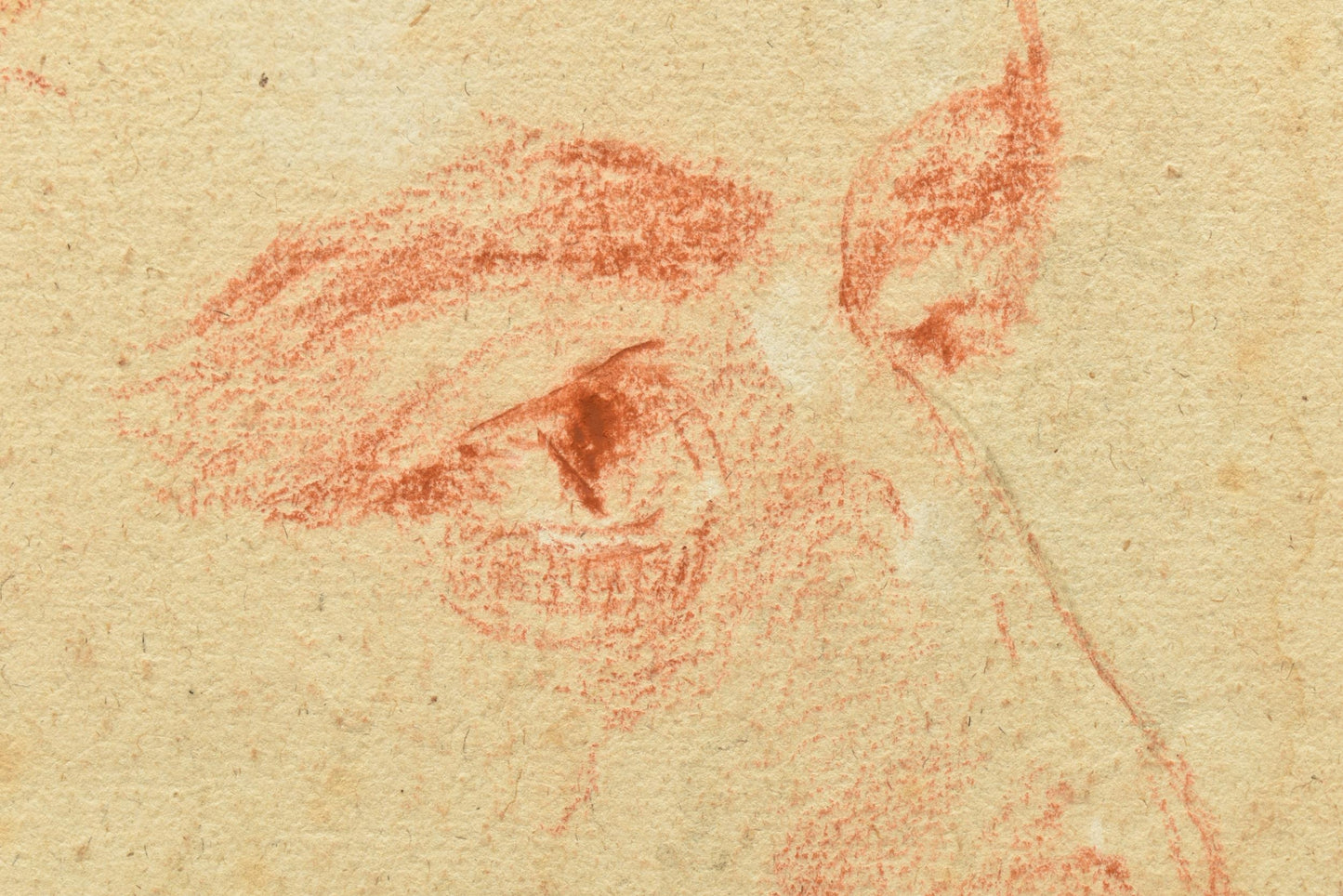 Andrew Geddes – Head of Gentleman, circa 19th Century