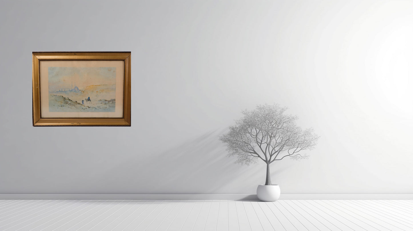 On the Way Between Old and New Cairo, Citadel Mosque of Mohammed Ali – D. Hidayet